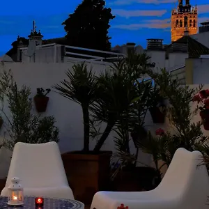 https://un-patio-en-santa-cruz.es-andalucia.com
